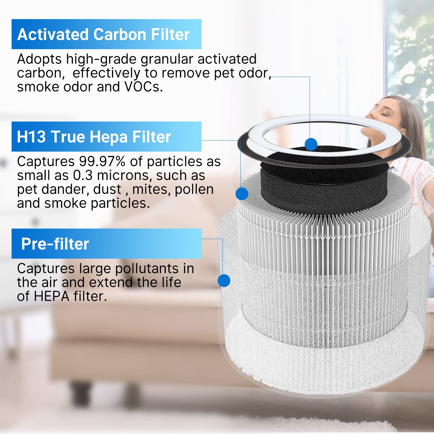 Levoit pet 空気清浄機 HEPAフィルター 楽天市場】Levoit 空気清浄機 交換用フィルター 20畳以下 脱臭 集じん